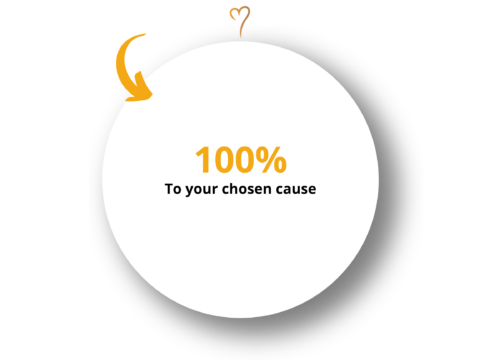 An infographic showing 100% of the donation goes to the donor's chosen cause.