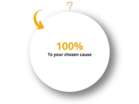 An infographic showing 100% of the donation goes to the donor's chosen cause.